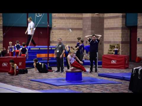 Star Struck 2017-01-15 - Mushroom / Pommel