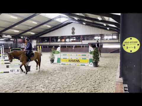 Kane vd Zonnehoeve by Arezzo VDL x Celano