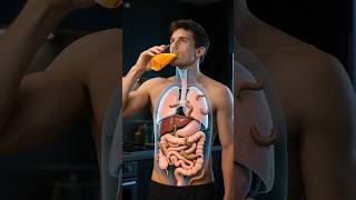 Inside Your Body After You Drink Juice! | 3D Parasite View | 3D Educational Animation