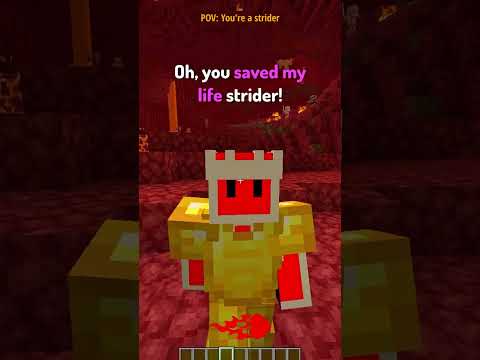 POV: You're a NETHER Mob in Minecraft┃pt 2