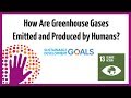 How Are Greenhouse Gases Emitted and Produced By Humans?