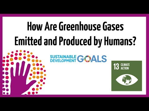 温室効果ガスはどのようにして人間から排出され、生成されるのでしょうか？ (How Are Greenhouse Gases Emitted and Produced By Humans?)