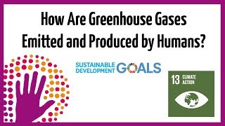 How Are Greenhouse Gases Emitted and Produced By Humans?
