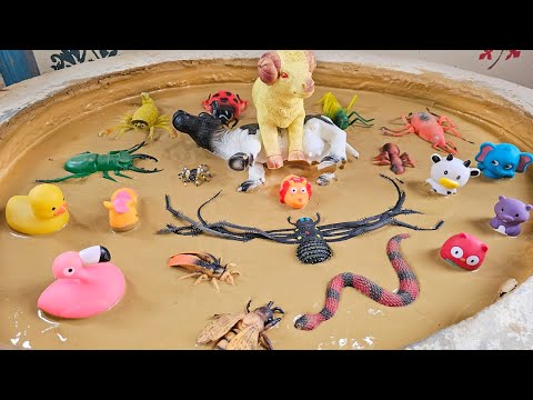 Tiny Heroes & Giant Survivors: When Jungle Giants & Tiny Insects Fight to Escape!