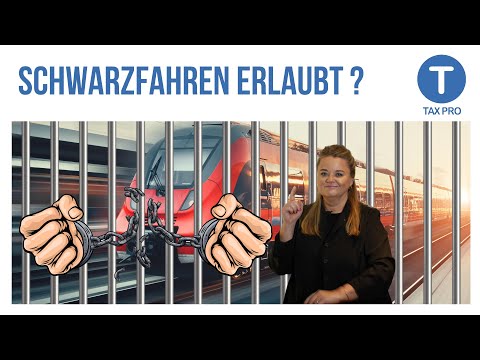 Schwarzfahren Erlaubt? Neues Gesetz! RA Lederer erklärt!