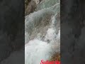 Pooncholai Kiliye Shorts
