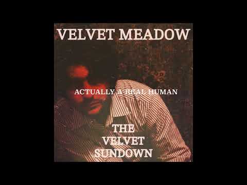 VELVET MEADOW - THE VELVET SUNDOWN (DISS TRACK LYRICS)
