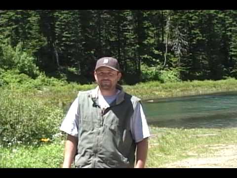 WYOMING SCOUTING TRIP DEER 2009