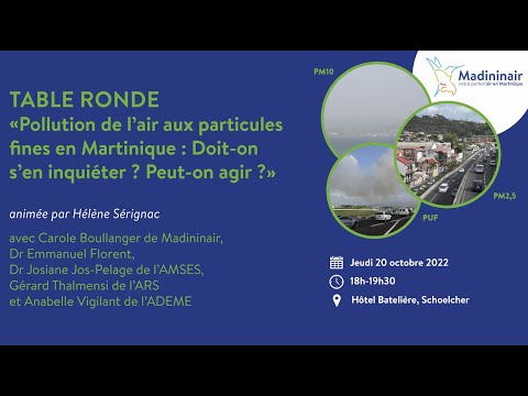 Table ronde "Pollution de l'air aux particules fines en Martinique"
