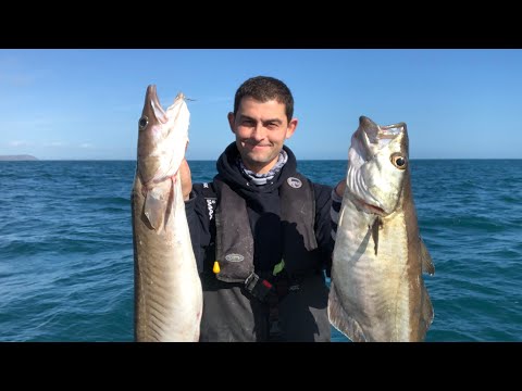 Winter Boat Fishing - Pollack and Ling Deep Sea Wreck fishing | The Fish Locker