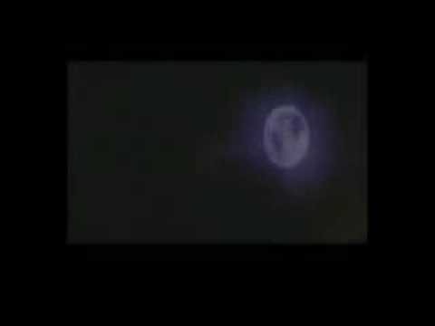 A Tündérkert virágai