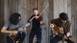 Kittel & Co. "The Boxing Reels" Live at Elderly Instruments