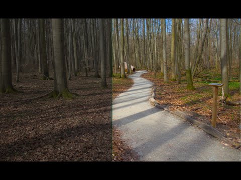 Darktable Episode 54: editing and addressing some questions part 2