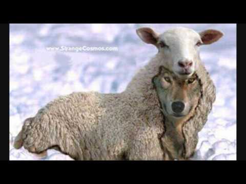 Video thumbnail for Wolf In Sheep's Clothing
