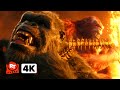 Godzilla X Kong The New Empire 2024 4K Kong Vs Skar King Movieclips