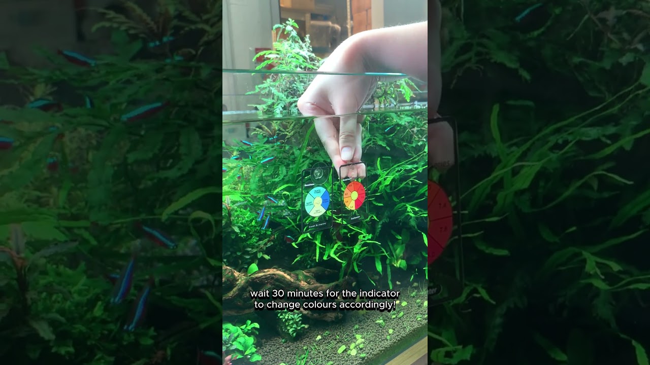 Seachem Alert Combo (pH & Ammonia) Aquarium Test Kit