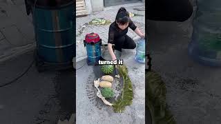 Download lagu Saat pengucapan janji nikah, anak saya yang berusia lima tahun bertanya kepada pengantin wanita m... mp3
