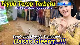 Download lagu Tayub Pule Trenggalek Asli tayub Terop,Bass Gler.!! Sambil Menikmati Hajatan Di Desa mp3