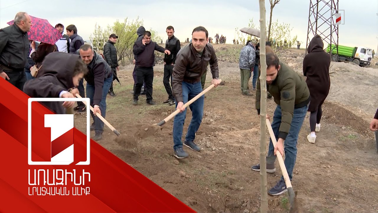 Եռաբլուրի հարակից տարածքում 4 000 ծառ է տնկվել