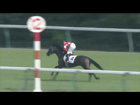 2021 JRA Japan Derby