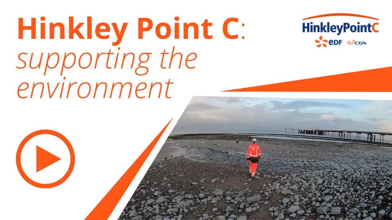 How is Hinkley Point C supporting the environment?