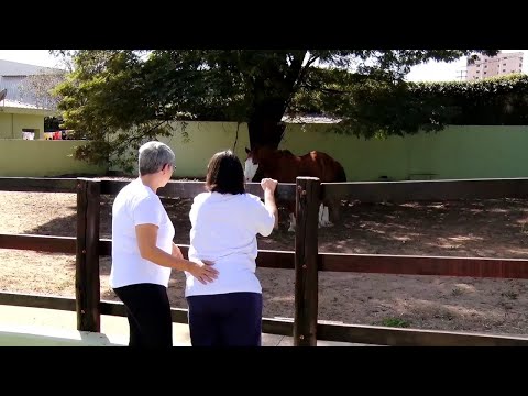 Apae de Rio Claro busca parceria para manter Núcleo de Diagnóstico