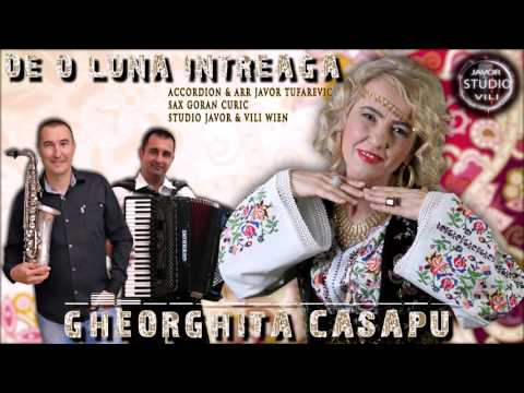 Gheorghita Casapu DE O LUNA INTREAGA