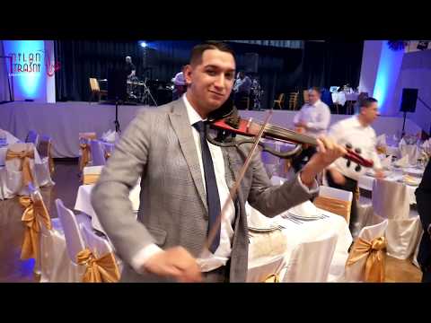 DOCEK ZA DOMACINA UZ NAJLEPSA KOLA / Ork. Milana Sasinog / Momir NS / Joca Voz / Milan Strasni