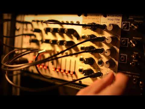 doepfer a-124 vcf5 wasp eurorack filter demo