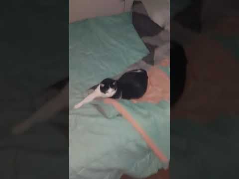 Show me your war face. Stream starts in an hour