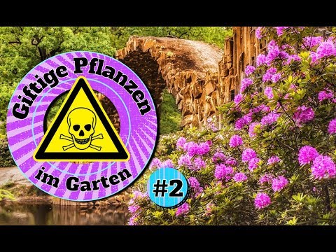 , title : 'Giftpflanzen - im Garten | giftige Pflanzen - die ihr kennen solltet | 5 giftige - Pflanzen'