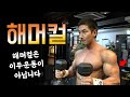 당신이 해머컬을 해야하는 이유ㅣ해머컬의 정석