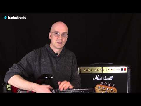 Devin Townsend uses his "Goo Soup" TonePrint for the Flashback Delay
