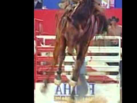 BETO PEREIRA - The Cattle King's Daughter