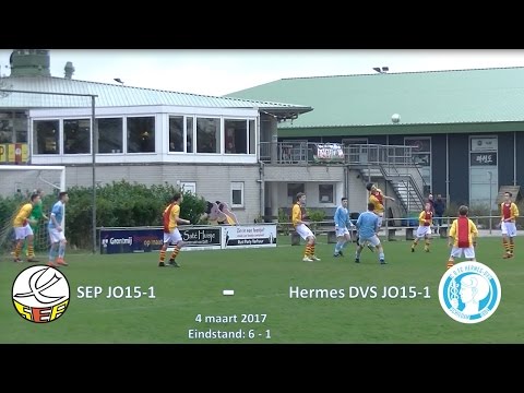 Samenvatting SEP JO15-1 -  Hermes DVS JO15-1