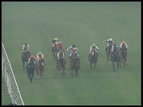 2017-03-11 Macau Meeting Race 5(0187) - MACAU GOLDEN GROUP