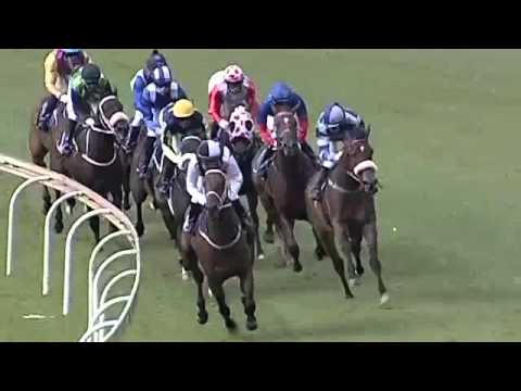 2016.03.26 Derby Trial (RSA) - Bankable Teddy