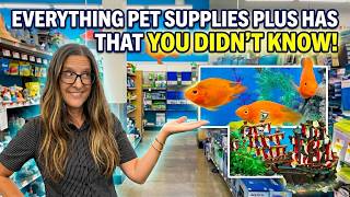 My FIRST time at a Pet Supplies Plus for FISH STUFF!