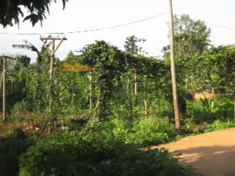 Tour of the Sabina Permaculture Project