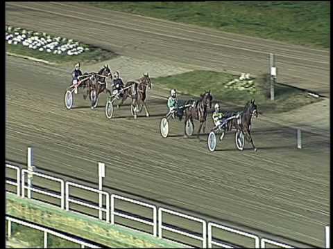 Trotto 18/11/2016 - prova di qualifica