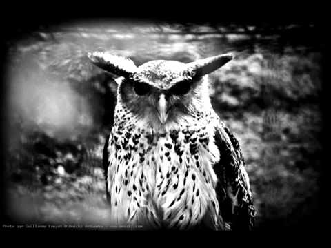 Valentin Doni - Nocturne ( Owls' night )