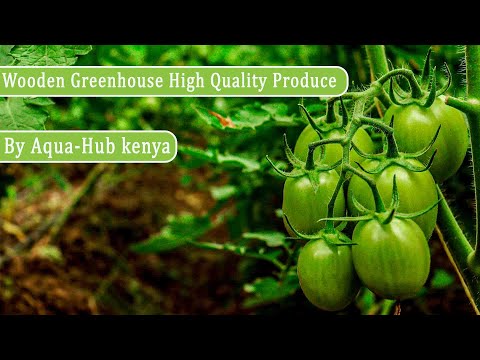 How a Wooden greenhouse can produce  High quality  Tomatoes and capsicum l Contact 0790719020