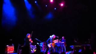 Waterboys - The Pan Within