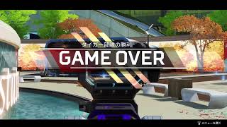 兄弟でEnjoy[APEX]