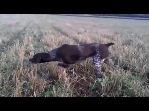 mwyerze nadiroba ( 08.17.2014 )