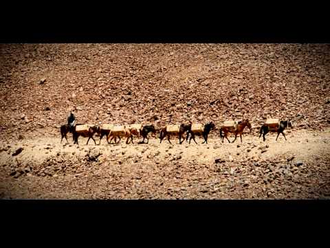 Trashumantes de la Cordillera de los Andes