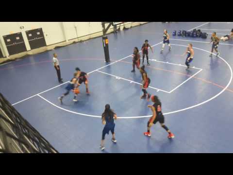 070717 CT Heat vs NJ Panthers Blue Griff 2nd half