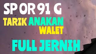 Download lagu suara burung walet original mp3 Tarik anakan Walet mp3 Download lagu suara burung walet original mp3 Tarik anakan Walet mp3