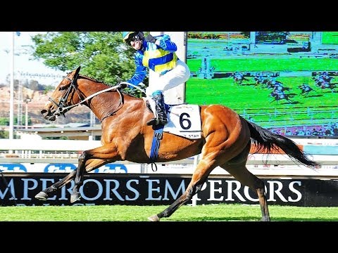 WINTER STAR : EMPERORS PALACE READY TO RUN CUP (2013)