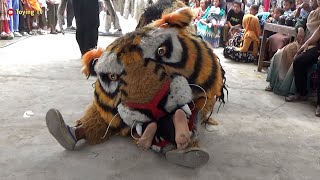 Download lagu Barongan Macan Nyaplok Cewek Di Daon Lor Karangtengah mp3